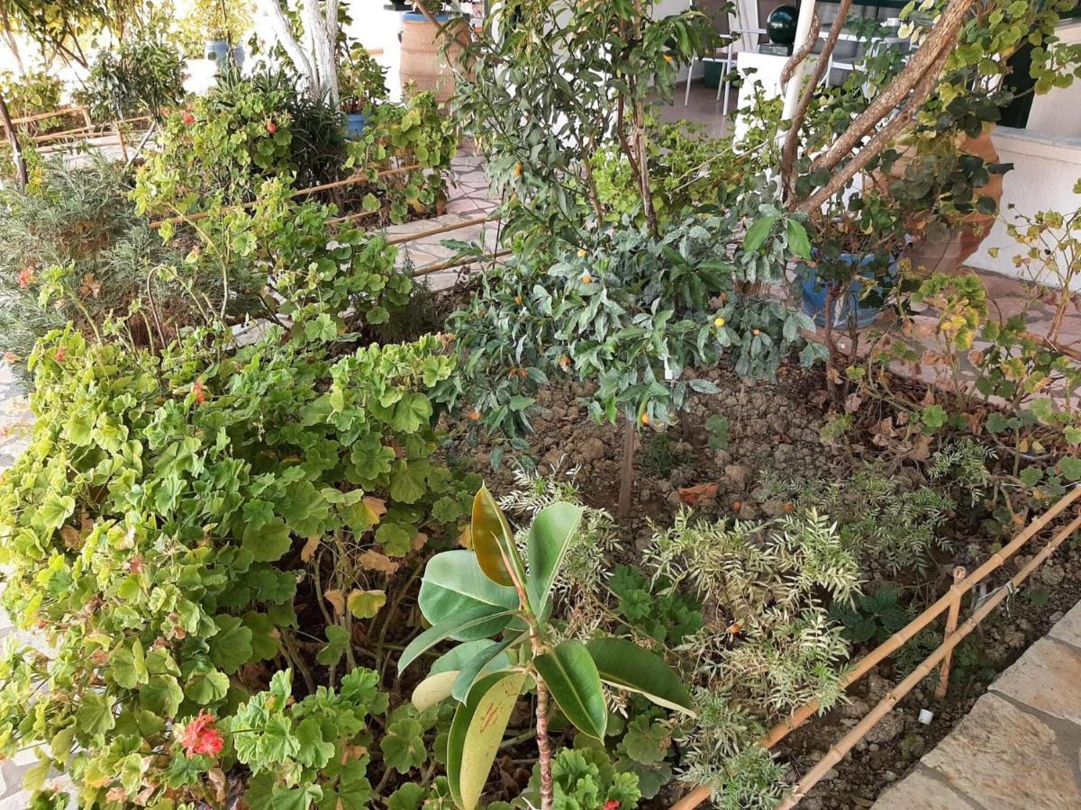 Apartment Homely In With Balcony Benitses (Corfu)