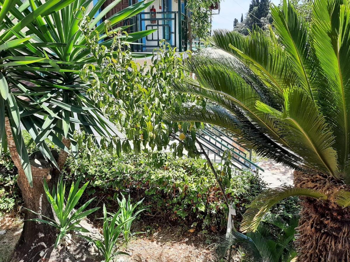 Apartment Homely In With Balcony Benitses (Corfu)